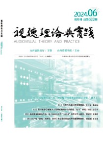 视听理论与实践